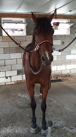 Broadway Guest Appearance