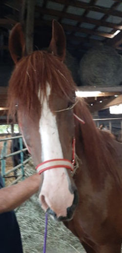 JRH Are You Kiddin' Me