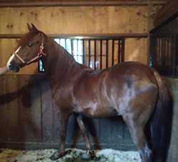 JRH Are You Kiddin' Me