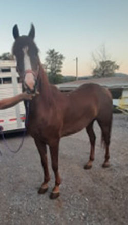 JRH Are You Kiddin' Me