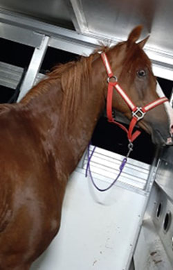 JRH Are You Kiddin' Me